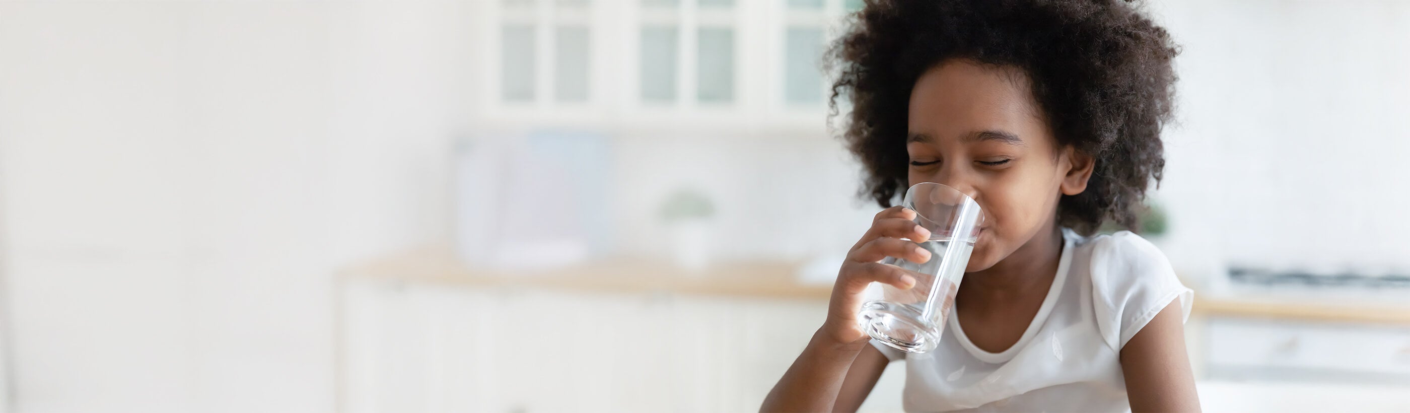 Water Filtration System Banner